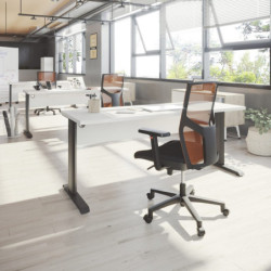 Mesa T-Fusion Emobok